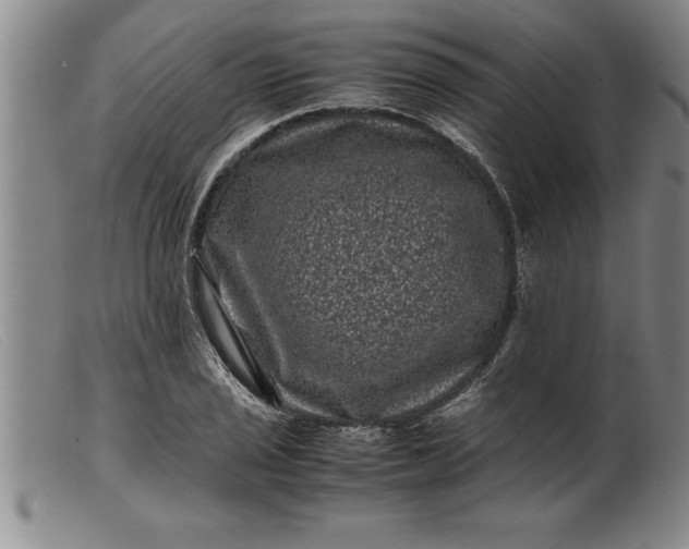 X0000099471029200805231825