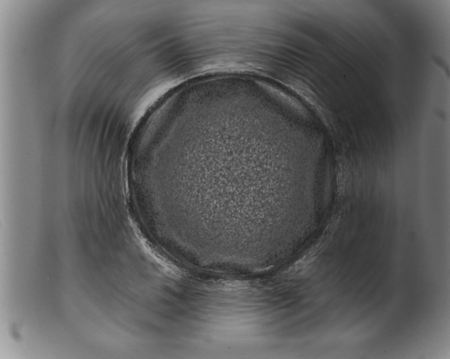 X0000099471030200805231825