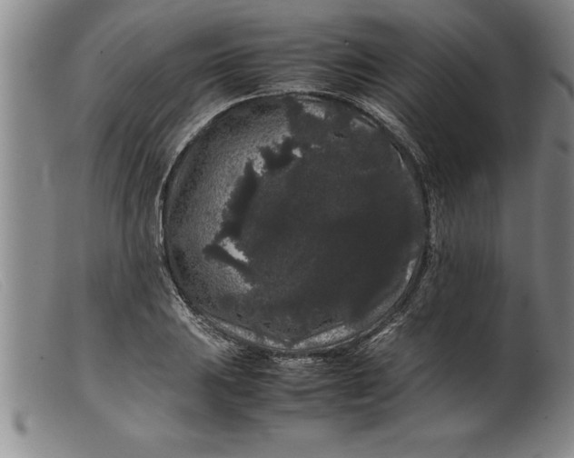 X0000099471031200805231825