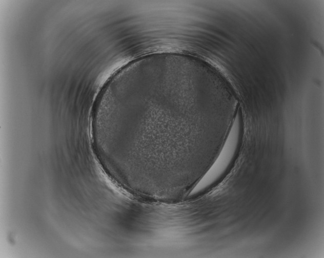 X0000099471034200805231825