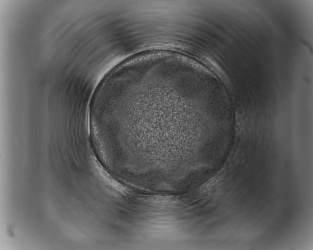 X0000099471036200805231825