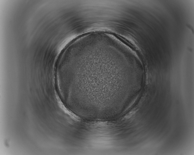 X0000099471038200805231825