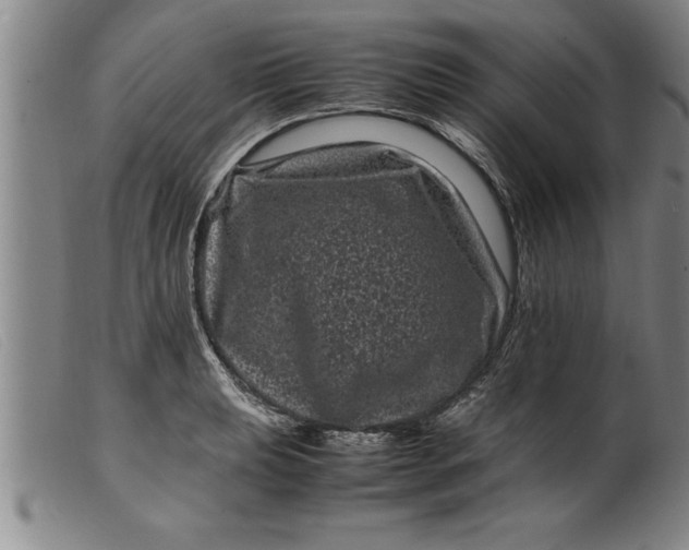 X0000099471039200805231825