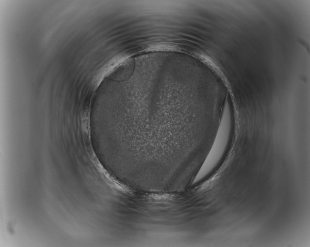 X0000099471041200805231825