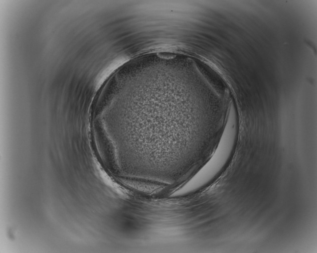 X0000099471042200805231825