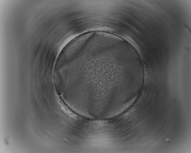 X0000099471044200805231825