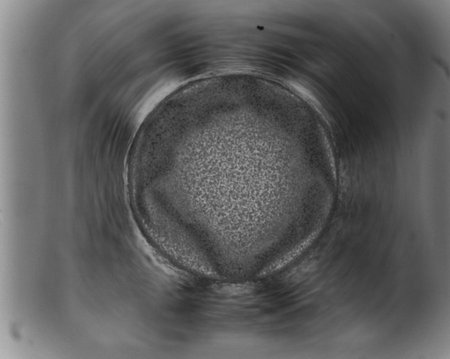 X0000099471047200805231825