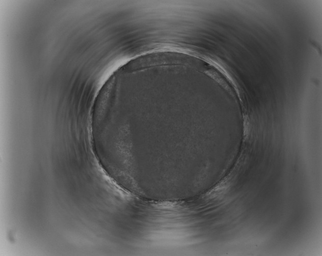 X0000099471048200805231825