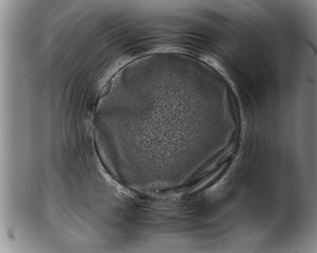 X0000099471049200805231825