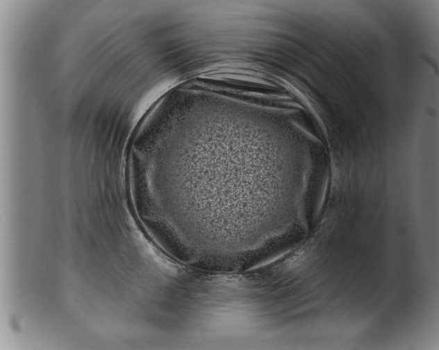 X0000099471050200805231825