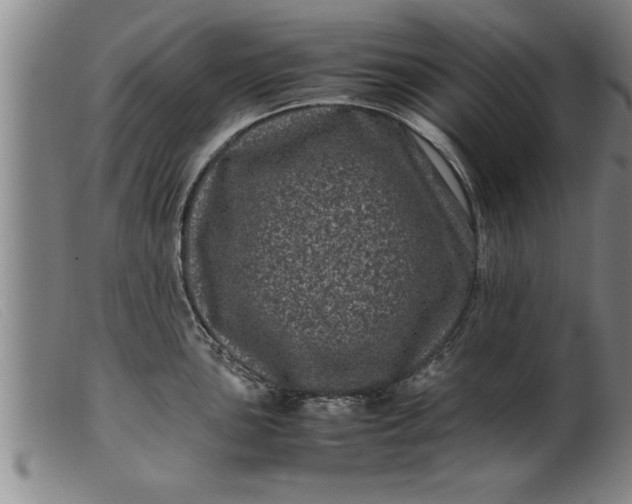 X0000099471051200805231825