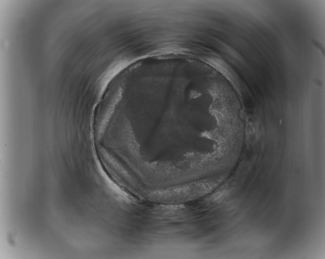 X0000099471055200805231825