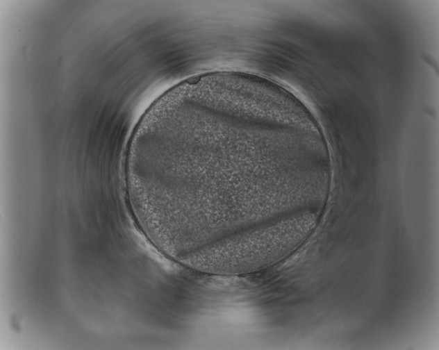 X0000099471056200805231825