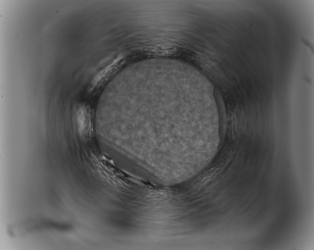 X0000099471058200805231825