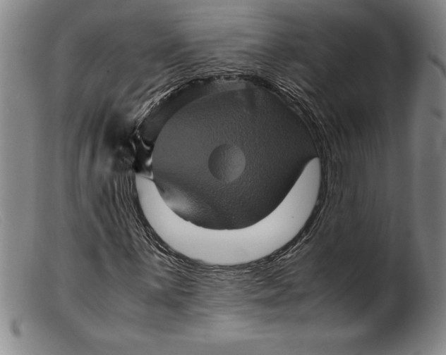 X0000099471059200805231825