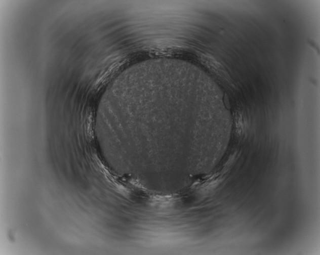 X0000099471060200805231825