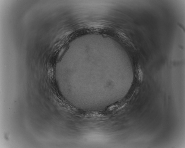 X0000099471061200805231825