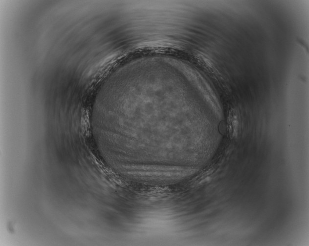 X0000099471062200805231825