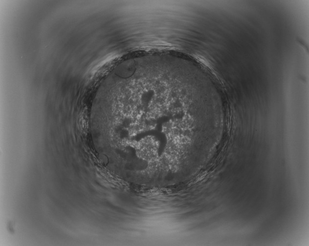 X0000099471063200805231825