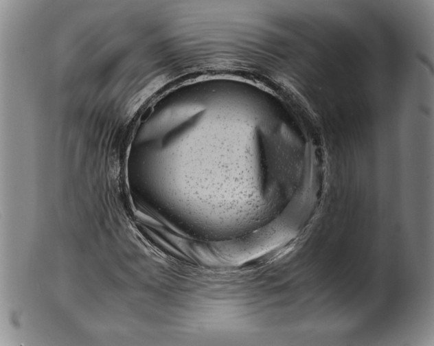 X0000099471065200805231825