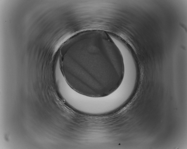 X0000099471069200805231825