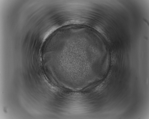 X0000099471070200805231825