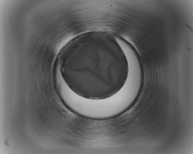 X0000099471071200805231825