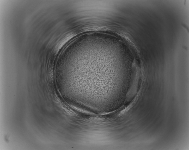 X0000099471073200805231824