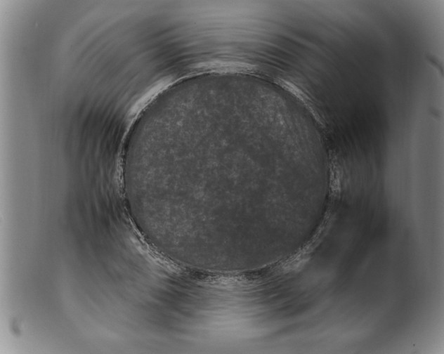X0000099471074200805231824