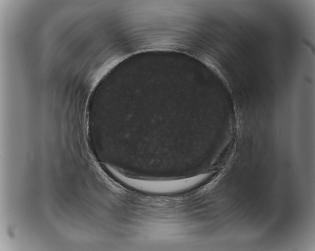 X0000099471077200805231824