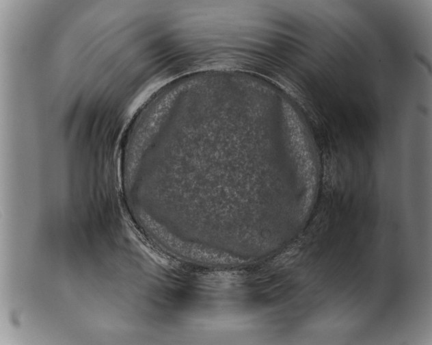 X0000099471078200805231824