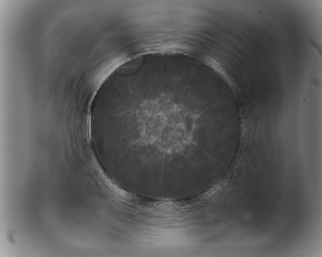 X0000099471079200805231824