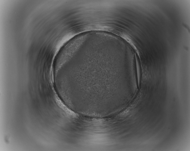 X0000099471080200805231824