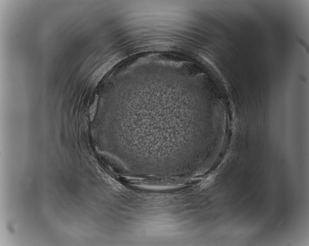 X0000099471081200805231824