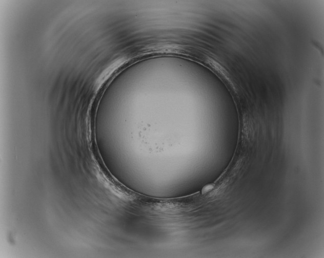 X0000099471082200805231824