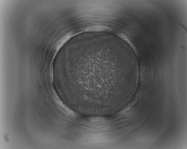 X0000099471083200805231824