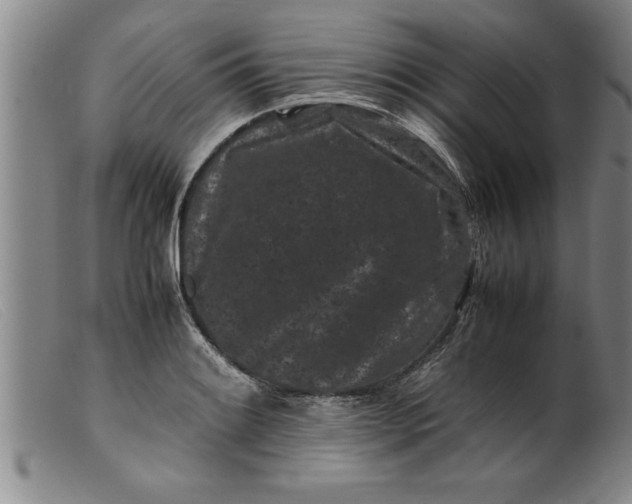 X0000099471084200805231824