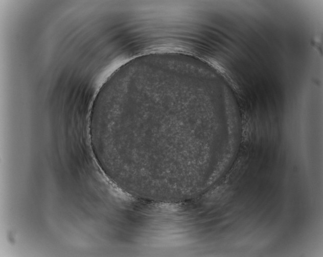 X0000099471086200805231824