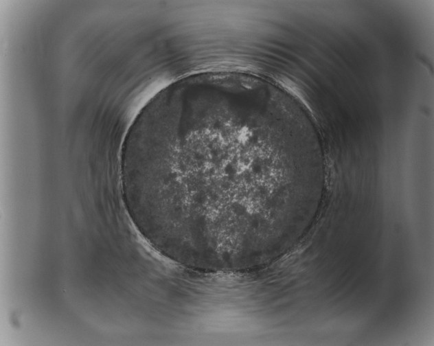 X0000099471087200805231824
