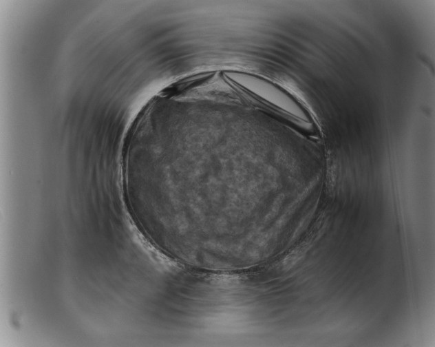 X0000099471088200805231824