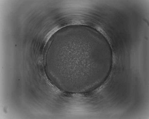 X0000099471089200805231824