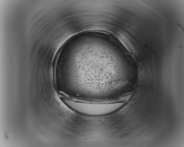 X0000099471092200805231824