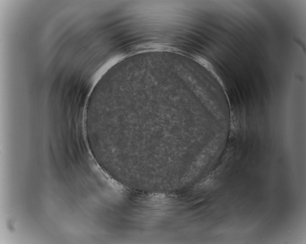 X0000099471098200805231824