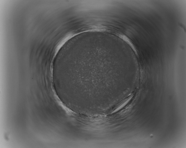 X0000099471099200805231824