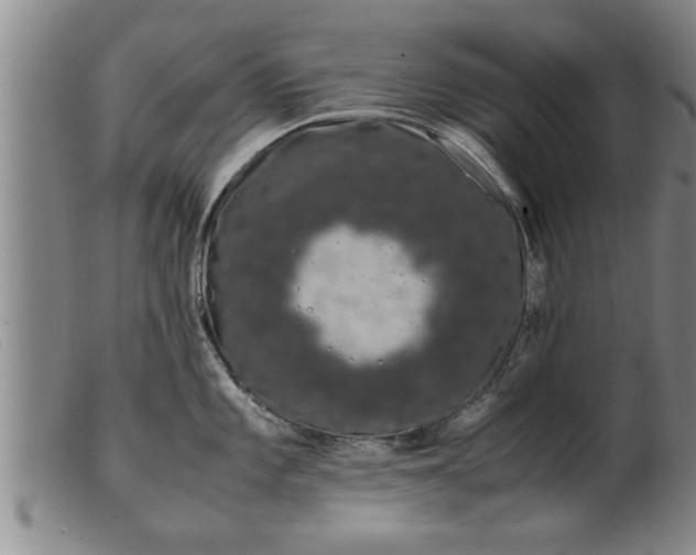 X0000099471101200805231824