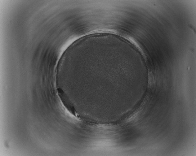 X0000099471102200805231824