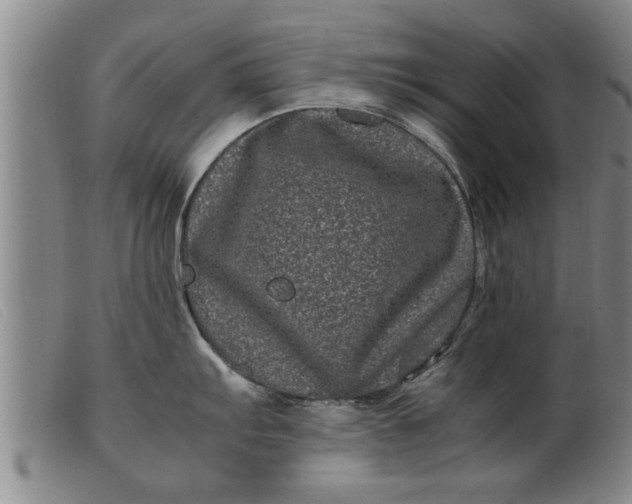 X0000099471103200805231824
