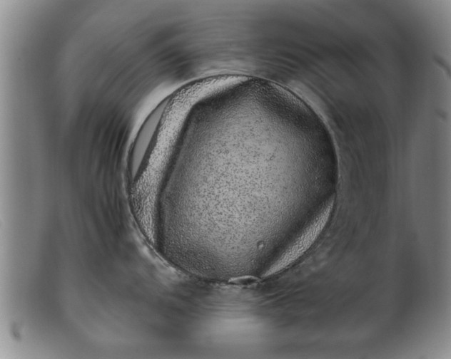 X0000099471104200805231824