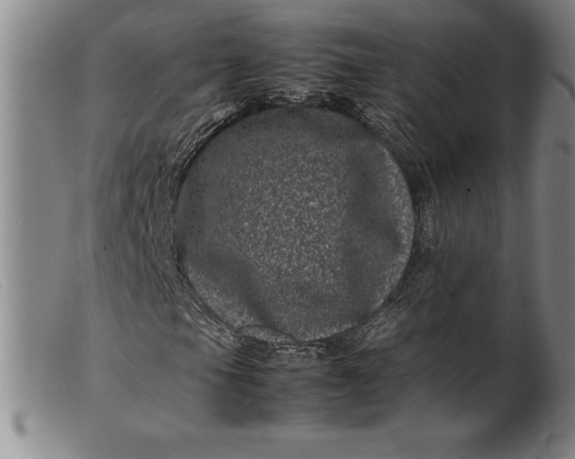 X0000099471105200805231823