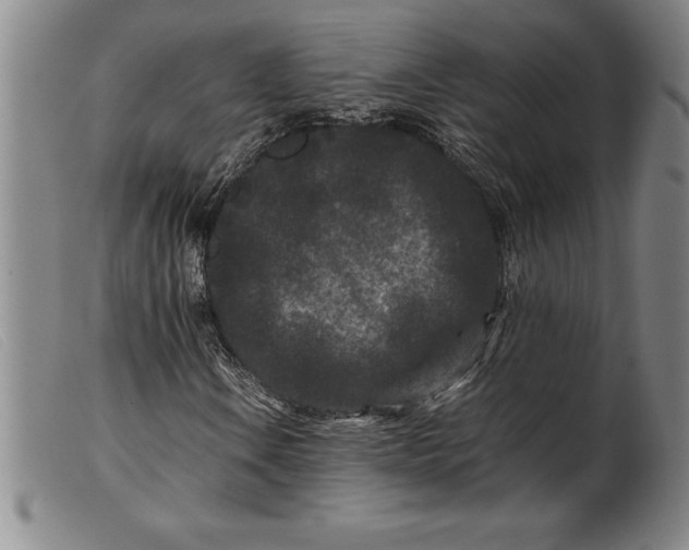 X0000099471106200805231823